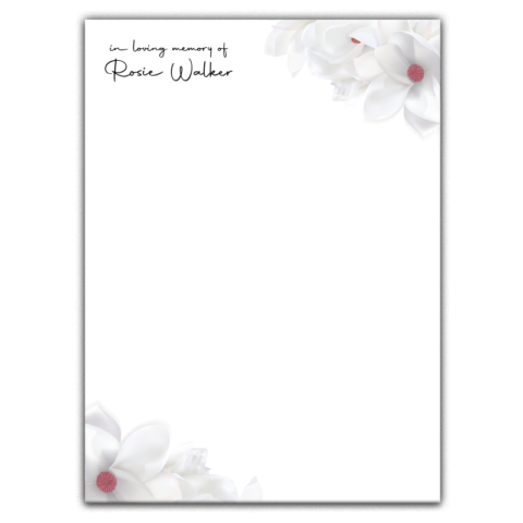 Aesthetic White Flower on White Background for Funeral
